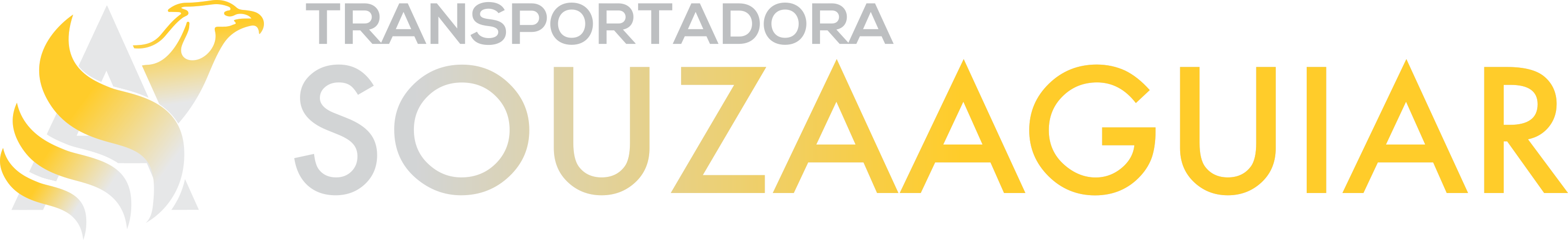 Transportadora Souza Aguiar